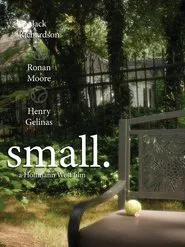 small movie poster