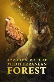 Stories of the Mediterranean Forest tv show poster