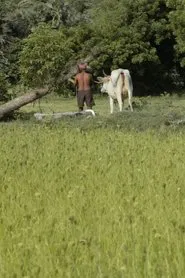 Where I Can’t Be Found movie poster