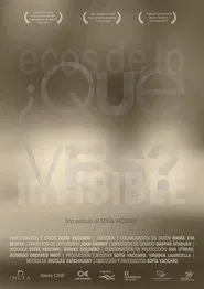 Poster do filme ¿Qué ves? Ecos de lo invisible