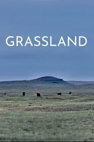 Grassland movie poster