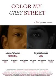 Color My Grey Street movie poster