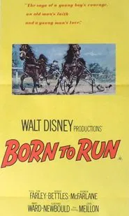 Born to Run movie poster