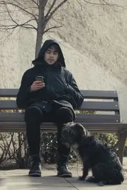 Ebrovás movie poster