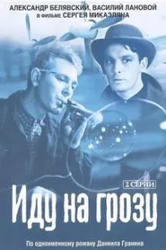Going Inside a Storm movie poster