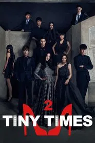 Tiny Times 2 movie poster