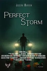 Perfect Storm movie poster