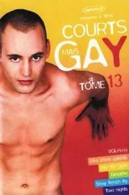 Courts mais Gay : Tome 13 movie poster