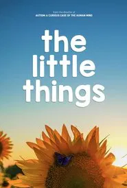 Poster do filme The Little Things