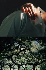 The Hedge Theater movie poster