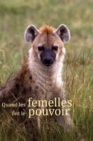 Quand les femelles ont le pouvoir movie poster