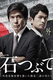 Throwing Stones : Cops Against the Government tv show poster