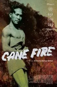 Cane Fire movie poster
