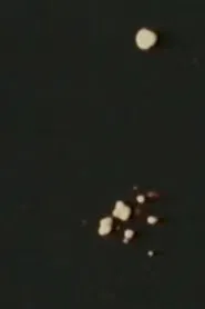 Poster do filme Song 11