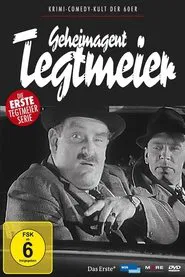 Poster da série Geheimagent Tegtmeier