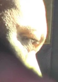 Poster do filme Fronteira