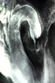 Poster do filme The Swan