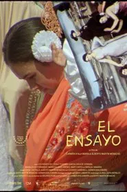 The Essay movie poster