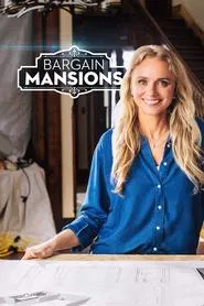 Bargain Mansions tv show poster