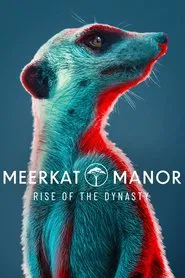 Meerkat Manor: Rise of the Dynasty tv show poster