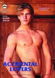 Accidental Lovers movie poster