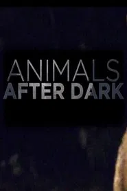 Animals After Dark tv show poster
