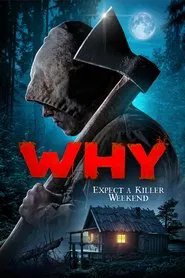 Why? movie poster