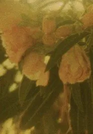 Seasons/Patterns movie poster