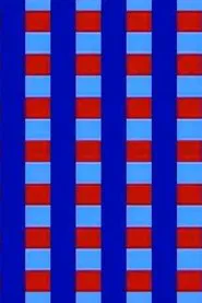 Video Ravingz movie poster