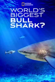 World's Biggest Bull Shark? movie poster
