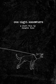 One Night Somewhere movie poster