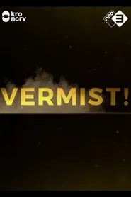 Poster da série Vermist!