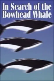 In Search of the Bowhead Whale movie poster
