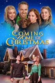 Coming Home for Christmas movie poster