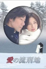 愛の流刑地 tv show poster