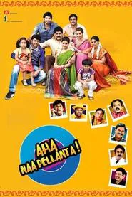 Poster do filme Aha Naa Pellanta
