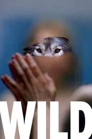 Poster do filme Wild