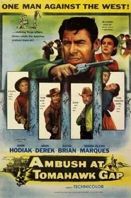 Poster do filme Os Mal Encarados