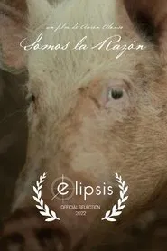 Somos la razón movie poster