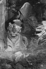 The Horrible Thirty: Me, My Father and Richard the Tiger movie poster