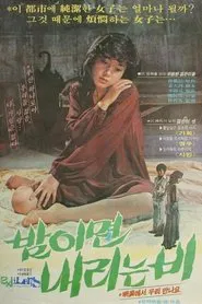 Poster do filme The Rain at Night