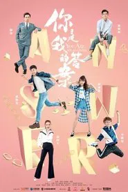 You Are My Answer tv show poster