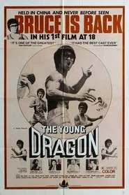 Poster do filme Young Dragon