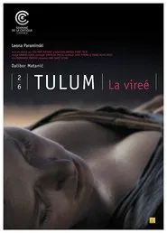 Party movie poster