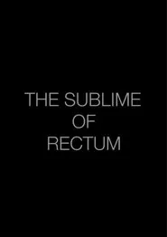 The Sublime of Rectum movie poster