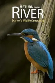 Return to the River movie poster