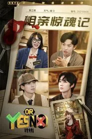 YES OR NO tv show poster