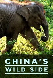 China's Wild Side tv show poster