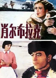 Poster do filme 肖尔布拉克