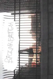 Poster do filme Briarpatch